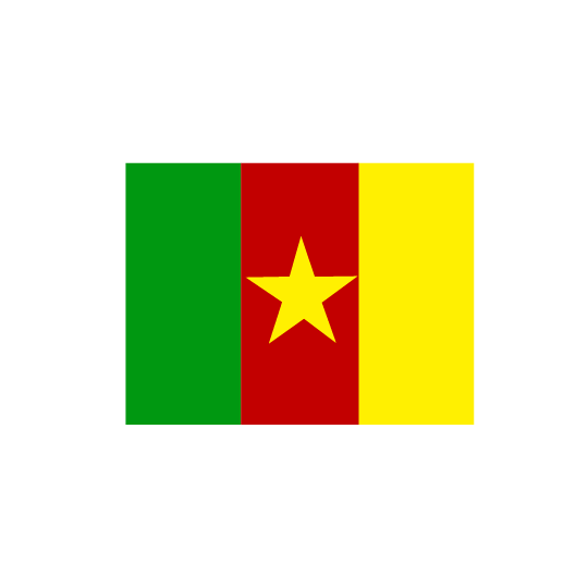 Embassy of Cameroon to The Kingdom of Saudi Arabia